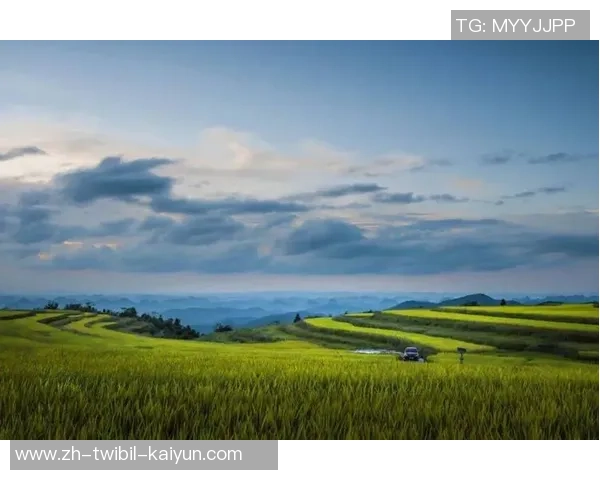 棋韵焰火 共绘黄水文旅交融新图景 棋韵焰火 共绘黄水文旅交融新图景